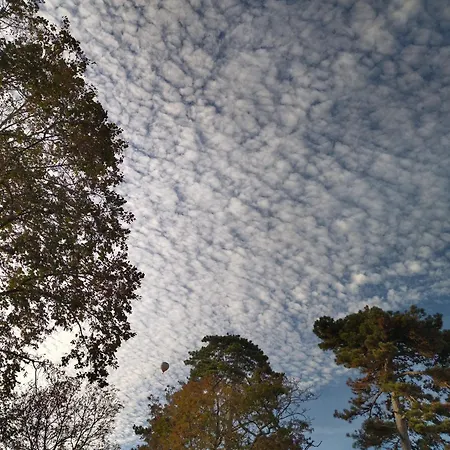 Le Gavachon Bed & Breakfast