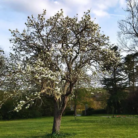 Le Gavachon Bed and breakfast Leboulin