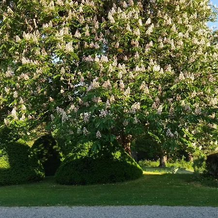 Le Gavachon Bed & Breakfast 4*