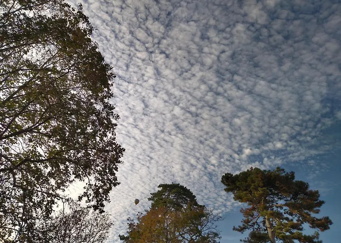 Le Gavachon Bed and breakfast