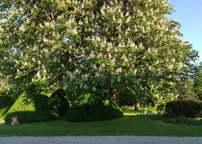 Le Gavachon Bed and breakfast 4*